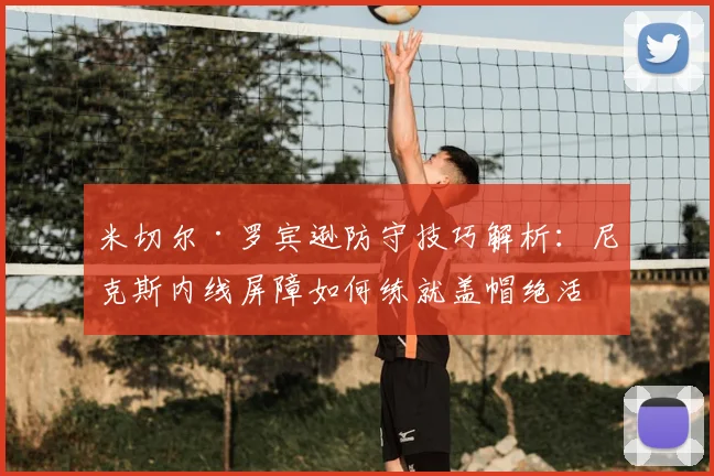 米切尔·罗宾逊防守技巧解析:尼克斯内线屏障如何练就盖帽绝活
